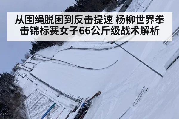 从围绳脱困到反击提速 杨柳世界拳击锦标赛女子66公斤级战术解析